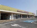 カスミ中村店まで1300m グランソレイユ