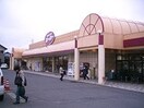 FOOD　OFFストッカー神立西店まで2，125ｍ Pure StageII（ピュアステージツー）