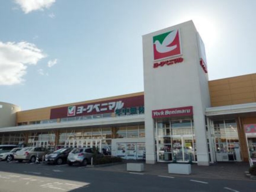 ヨークベニマルまで300m フラン　グラース