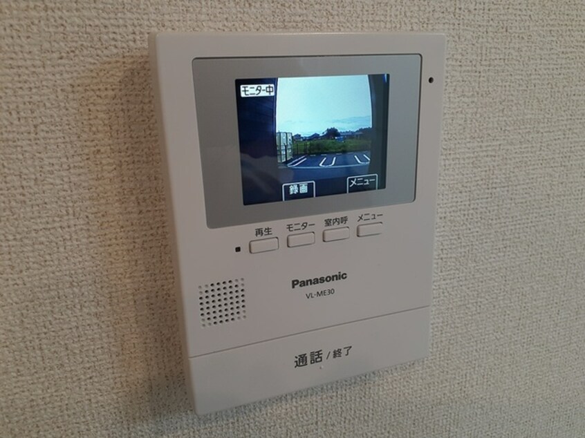  セラリーレイス