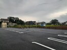  セラリーレイス