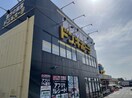 ドンキホーテまで1300m エクセレント真鍋
