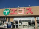 エコス 荒川沖店まで1950m イリス・ヴィレ