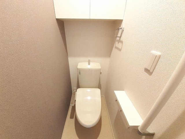  ステラ