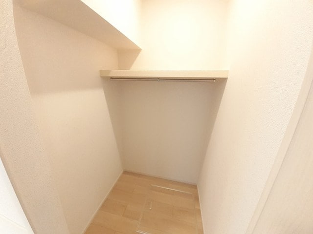  ステラ