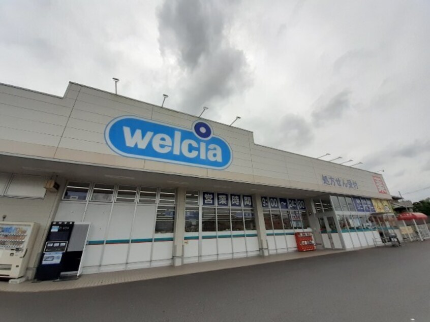 ウエルシア土浦高津店まで2150m ココフルール