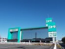 ニトリ 土浦店まで1850m ココフルール