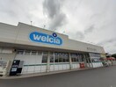 ウエルシア土浦高津店まで2150m ココフルール