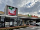 ヨークベニマル 土浦生田町店まで300m ガーデンハウス　しらゆりI
