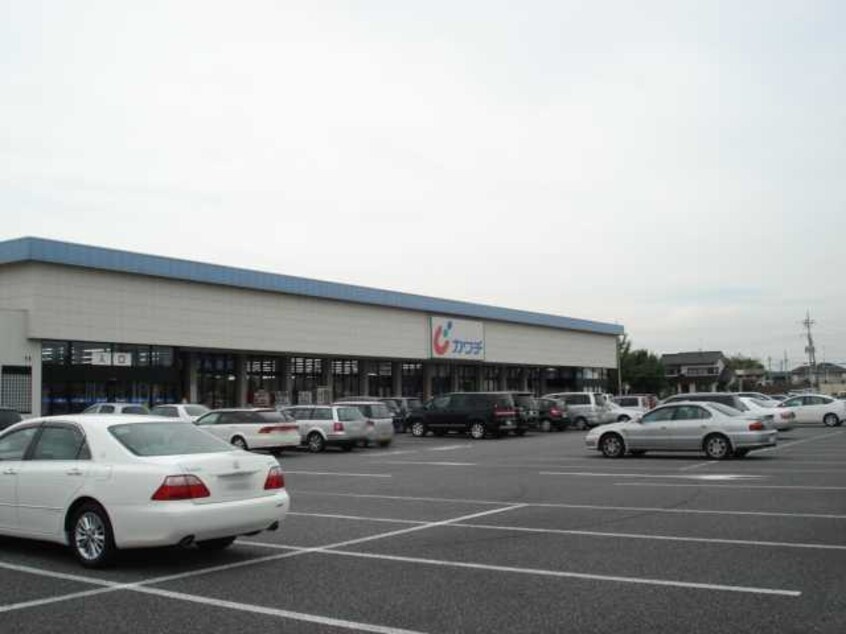 カワチ薬品土浦南店まで1，061ｍ Green Hills（グリーン　ヒルズ）