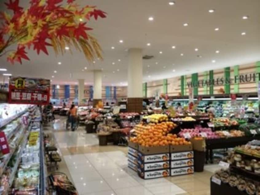 KASUMI（ｶｽﾐ） 筑波大学店(スーパー)まで2070m シティハイムつくばね