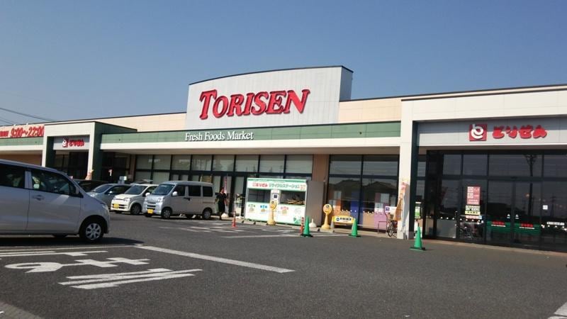 とりせん下妻店(スーパー)まで3212m 大東ハイツ　12号棟