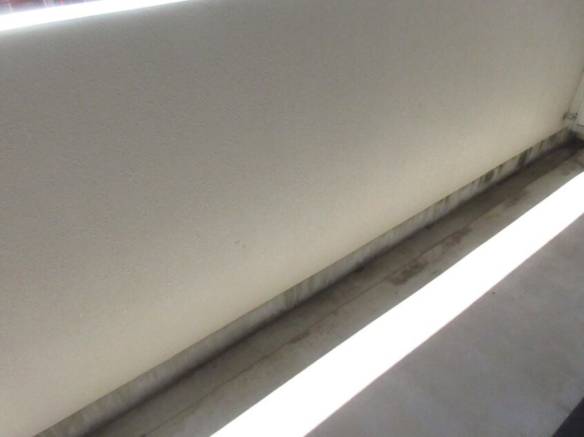  【2026年春入居可】パレス天久保