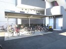  ハイパー桜