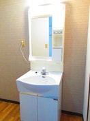  パステルメゾン柳B