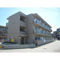 オリーブさくら