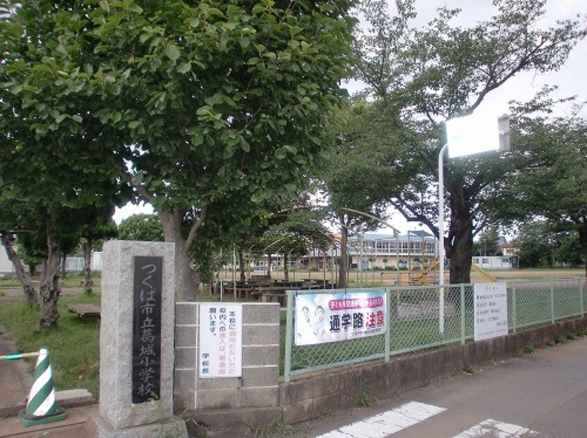 つくば市立葛城小学校(小学校)まで679m シルトクレーテ