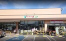 ｴｺｽTAIRAYA（たいらや） 真壁店(スーパー)まで3364m Ｓ・Ｋ・Ｋ桜川ハイツ　伍番館