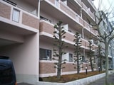 カーサグランデ