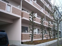 カーサグランデ