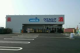 ｳｴﾙｼｱつくば研究学園店(ドラッグストア)まで976m アルカンシェル