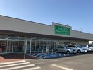 ｻﾞ･ﾀﾞｲｿｰ ﾋﾟｱｼﾃｨ万博記念公園駅前店(スーパー)まで1240m Grand Winds Tsukuba I