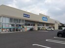 ｳｴﾙｼｱつくば東店(ドラッグストア)まで813m ソラーレつくば　A