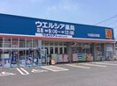 ｳｴﾙｼｱつくばみどりの店(ドラッグストア)まで2587m シュタットみどりの　C