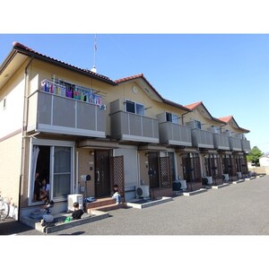 Ｐａｃｉｆｉｃｕｓ