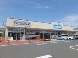 ｳｴﾙｼｱつくば万博記念公園店(ドラッグストア)まで871m GrandWinds TsukubaIII