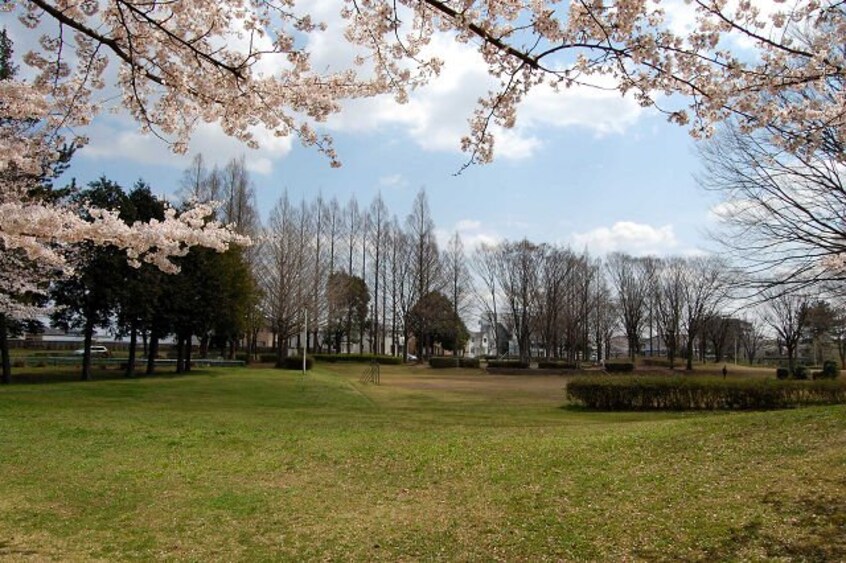 高野台公園まで447ｍ グランディール高野台