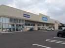 ｳｴﾙｼｱつくば東店(ドラッグストア)まで717m KESHIKI
