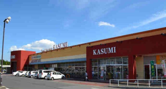 ｶｽﾐ みどりの駅前店(スーパー)まで1655m イーストリバティーV