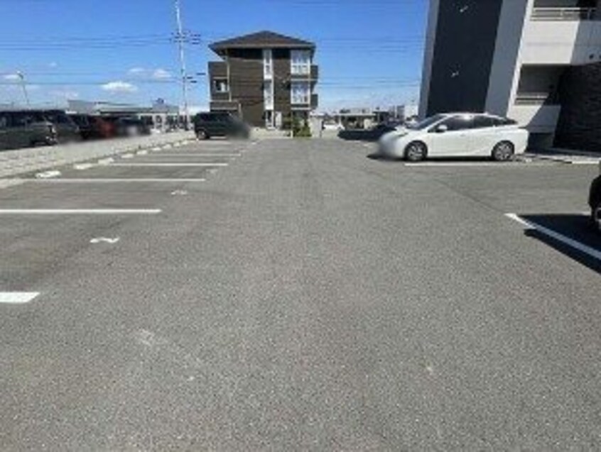  オリーブ学園の森