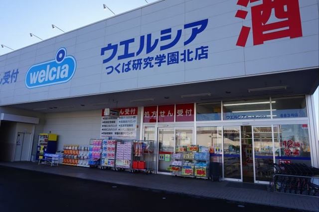 ウエルシアつくば研究学園北店まで300m ボヌール・シュプレーム　Ｄ