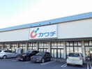 カワチ薬品 千代田店まで1050m シャルムメゾンIII
