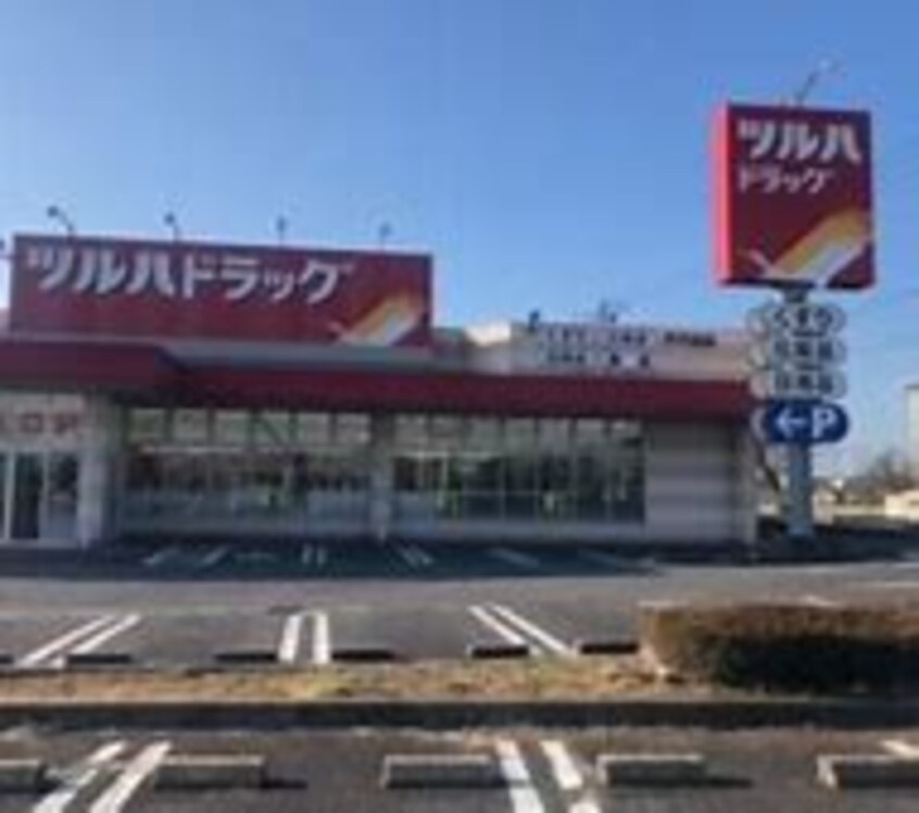 ﾂﾙﾊﾄﾞﾗｯｸﾞ 千代田店(ドラッグストア)まで718m グラン・アグロス　Ｂ