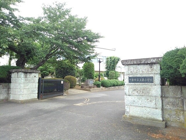 下妻市立上妻小学校まで300m Ｎｏｒｔｈ　Ｆｒｏｎｔｉｅｒ