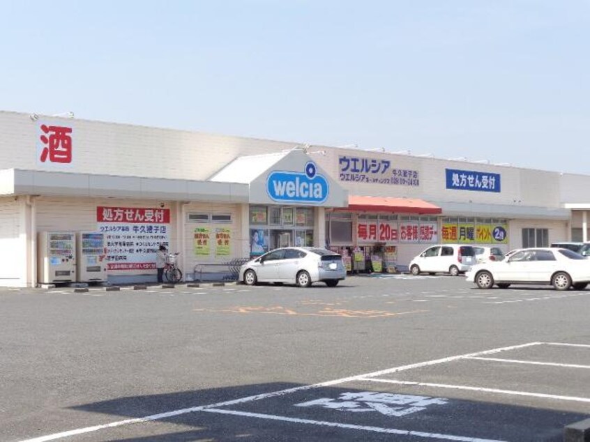 ウエルシア牛久猪子店まで758ｍ DOMANI II
