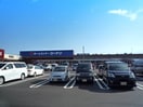 コーナンつくば学園の森店まで1650m ノートルレーヴＫ