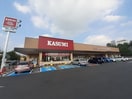 カスミテクノパーク桜店まで2450m リクワイヤドVI