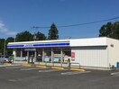 ﾛｰｿﾝ つくばみどりの店(コンビニ)まで1354m カーサ・ドマーニIII