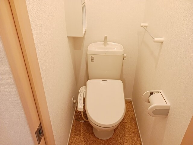  サンフラワー
