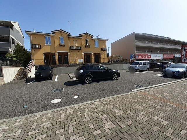  サンフラワー