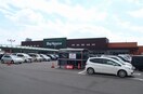 タイヨービッグハウスみどりの店まで1700m ブランピエール