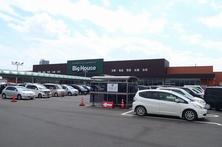 タイヨービッグハウスみどりの店まで1700m ブランピエール