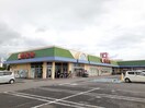 カスミ 筑波店まで250m トラスト　I