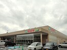 ＴＡＩＲＡＹＡつくば大穂店まで1300m サプール　マウンテン