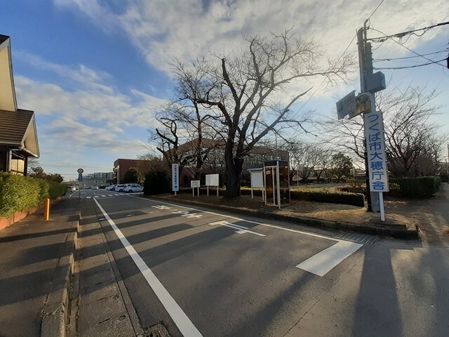 つくば市 大穂窓口センターまで1200m サプール　マウンテン