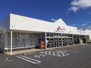ジェーソンみどりの店まで600m フォーエヴァー　II